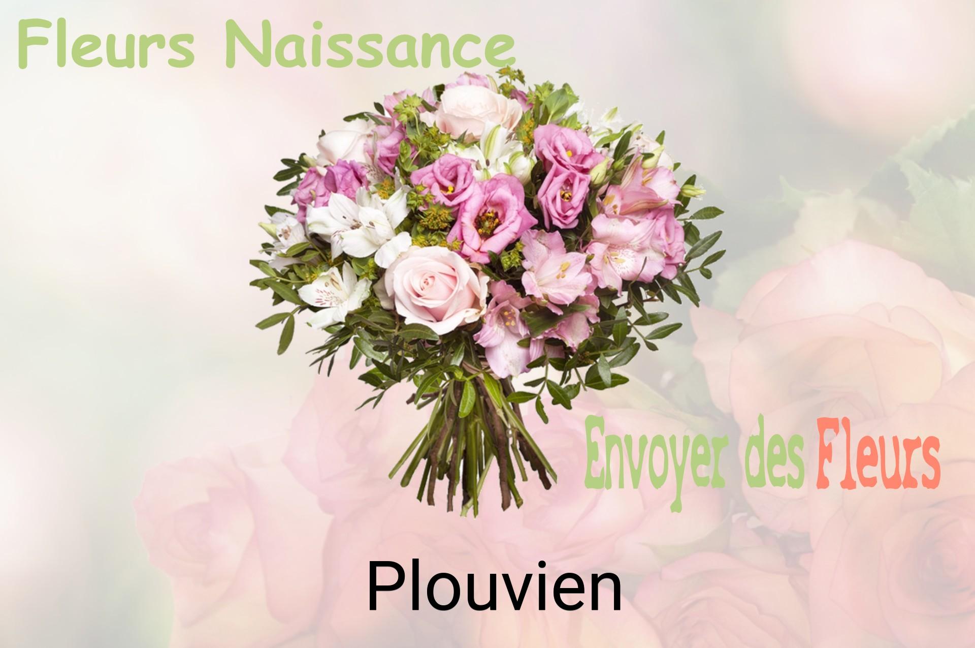 Bouquet de fleurs de naissance livré à Plouvien